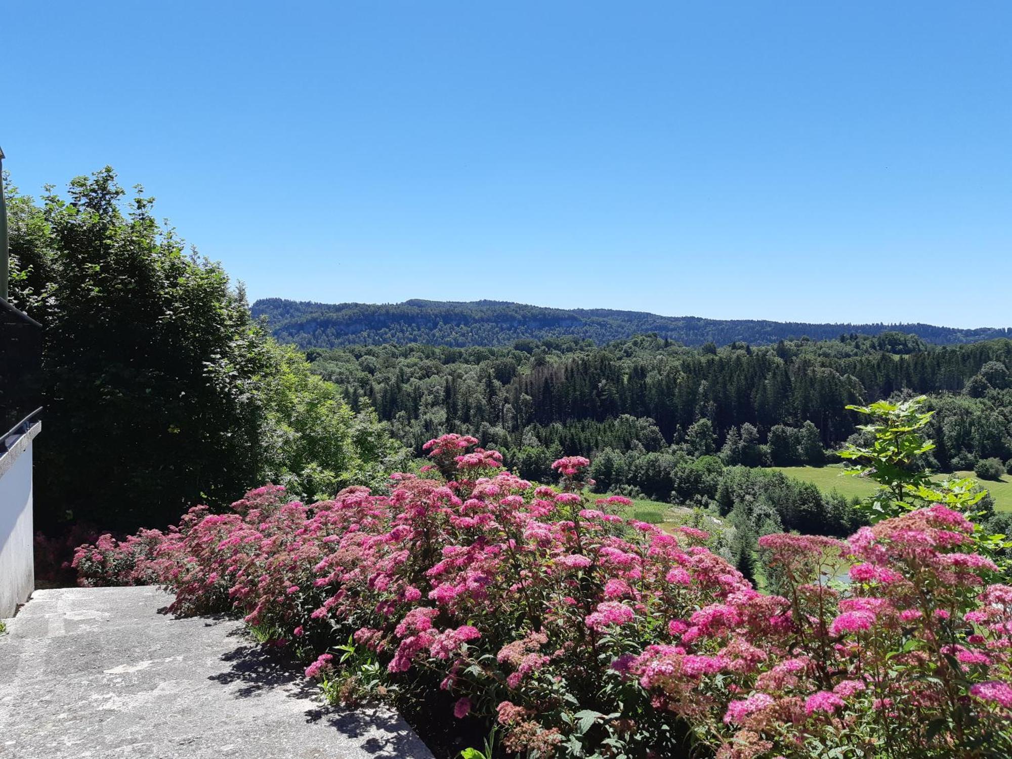 Les Alpages Hotel Bonlieu Eksteriør billede